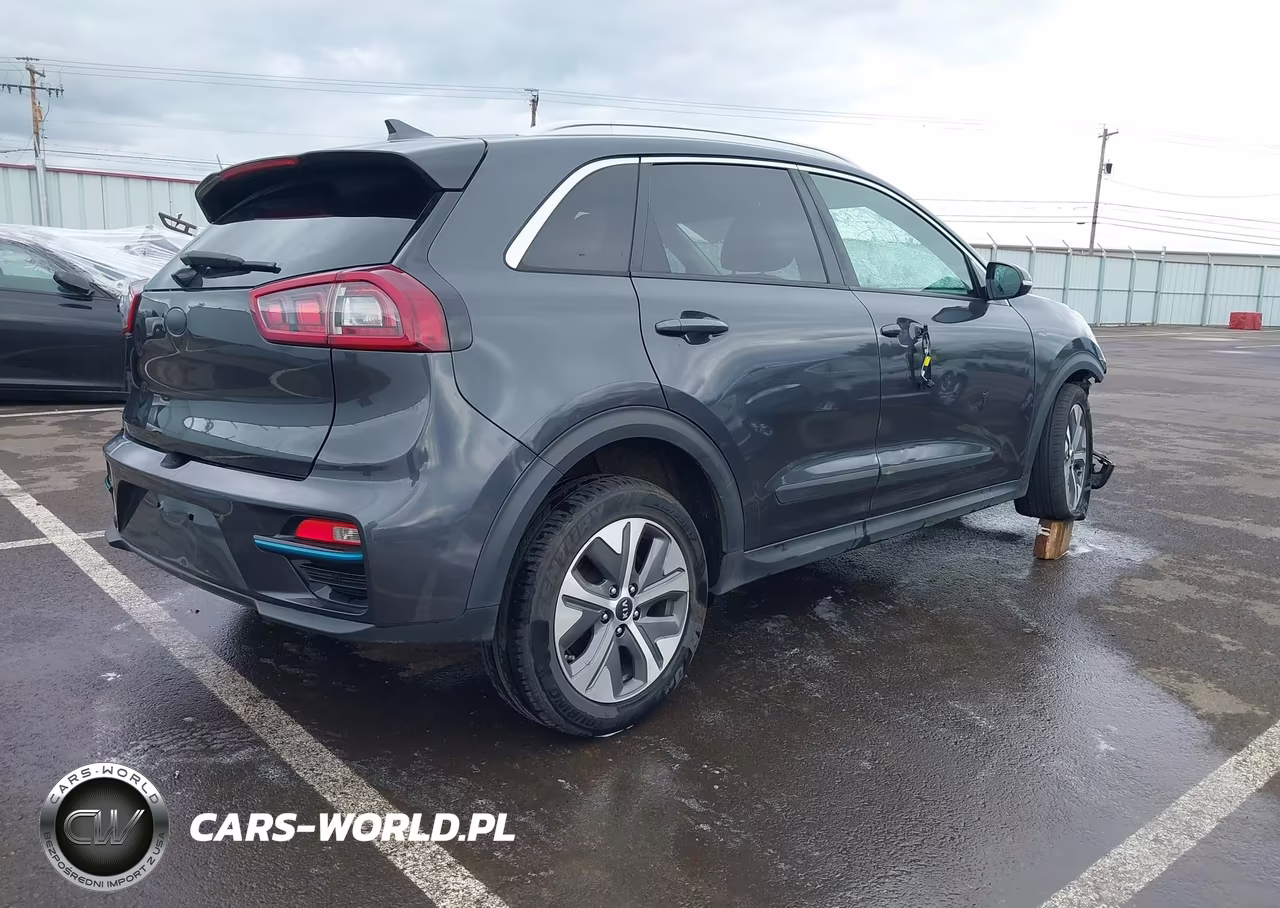 2019 Kia Niro Ev Ex Premium VIN:KNDCE3LG1K5021857 - 4