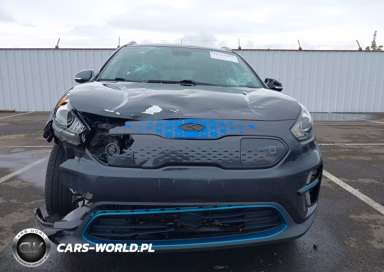 2019 Kia Niro Ev Ex Premium VIN:KNDCE3LG1K5021857 - 6