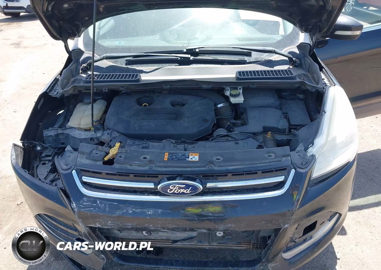 2013 Ford Escape Sel VIN:1FMCU9H99DUD80393 - 10