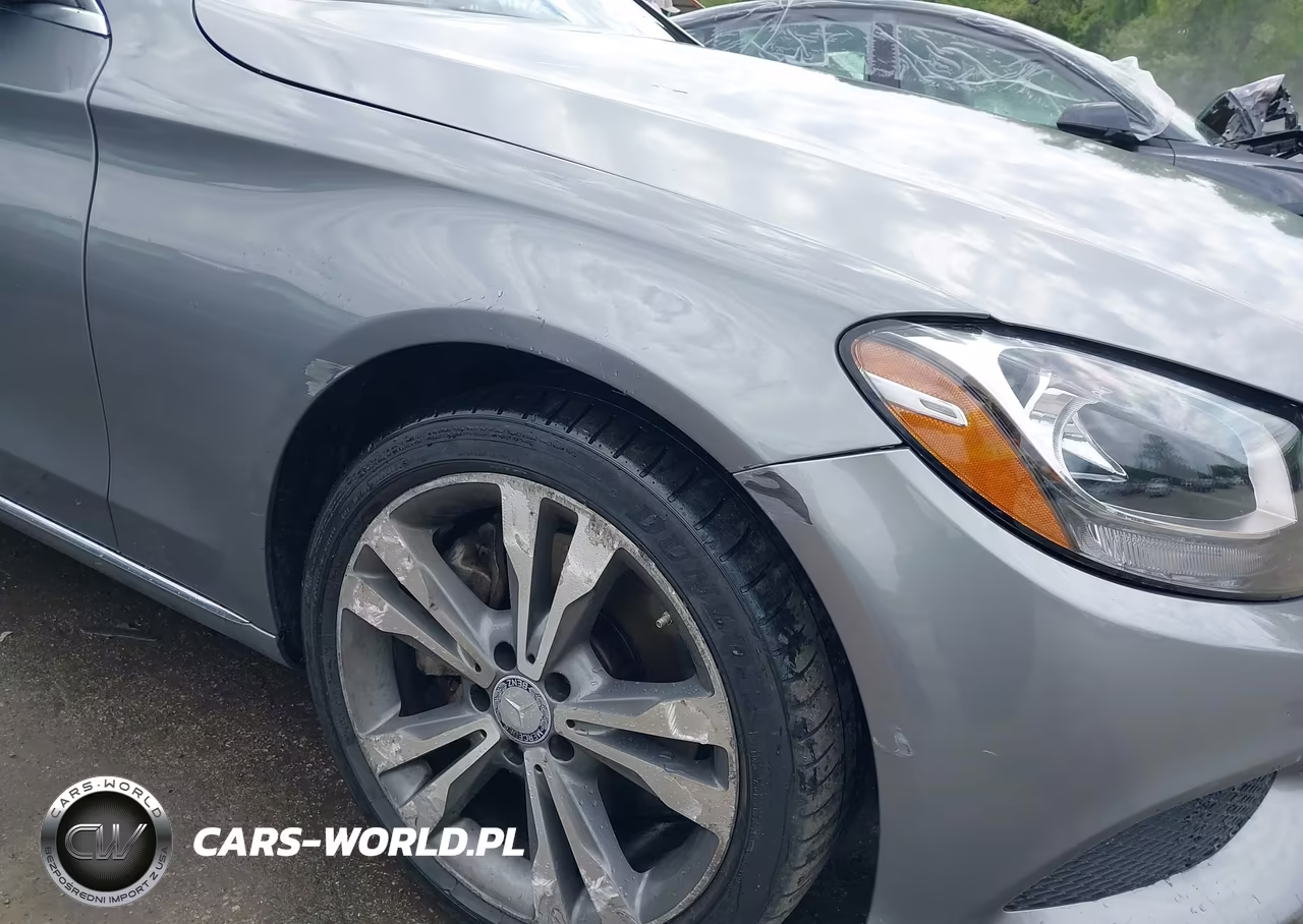 2016 Mercedes-Benz C 300 4Matic VIN:55SWF4KBXGU111194 - 6