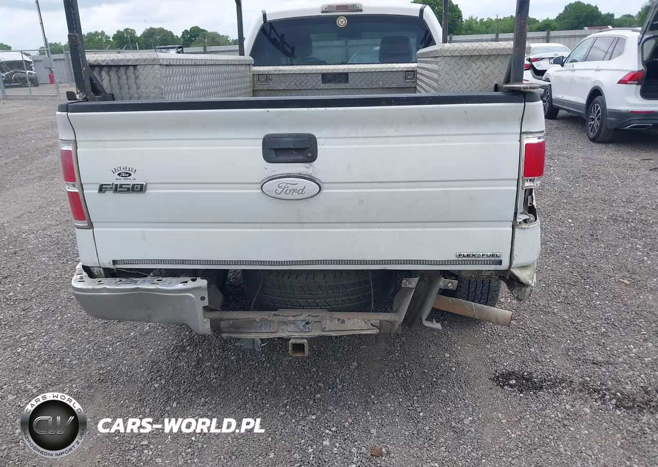 2009 Ford F-150 Stx-Xl-Xlt VIN:1FTRF12W89KB12513 - 13