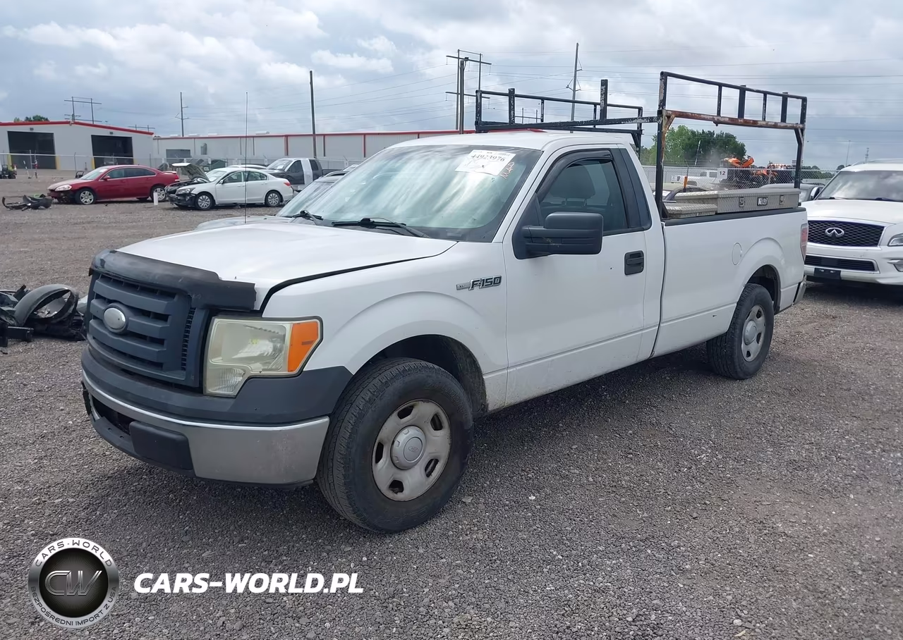 2009 Ford F-150 Stx-Xl-Xlt VIN:1FTRF12W89KB12513 - 2