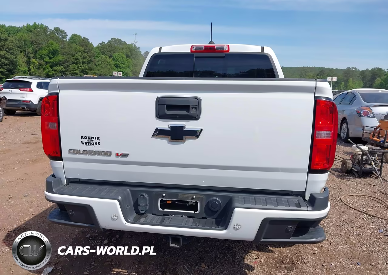 2020 Chevrolet Colorado 4Wd Short Box Z71 VIN:1GCGTDEN2L1155522 - 17