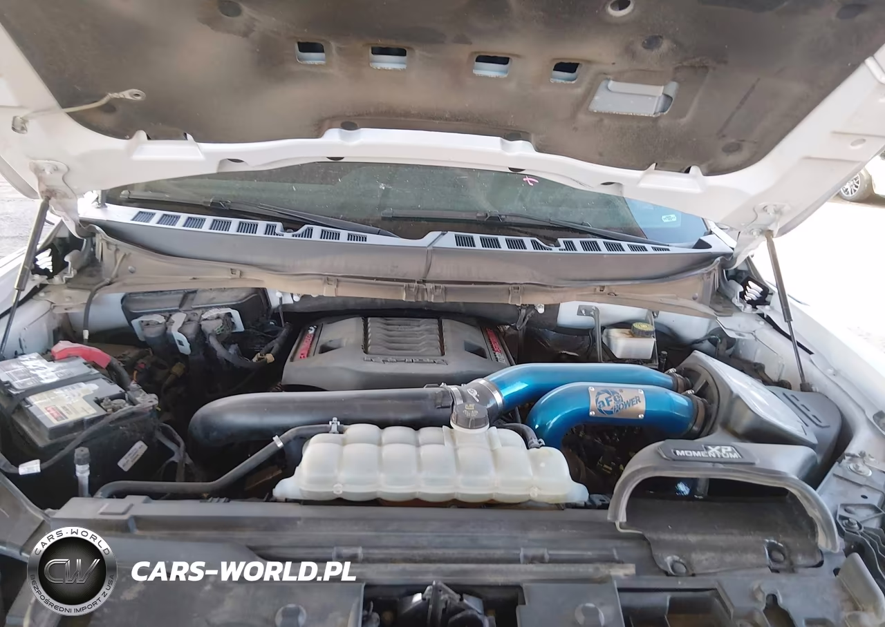 2024 Ford F-150 Raptor VIN:1FTFW1RG0RFA51636 - 10