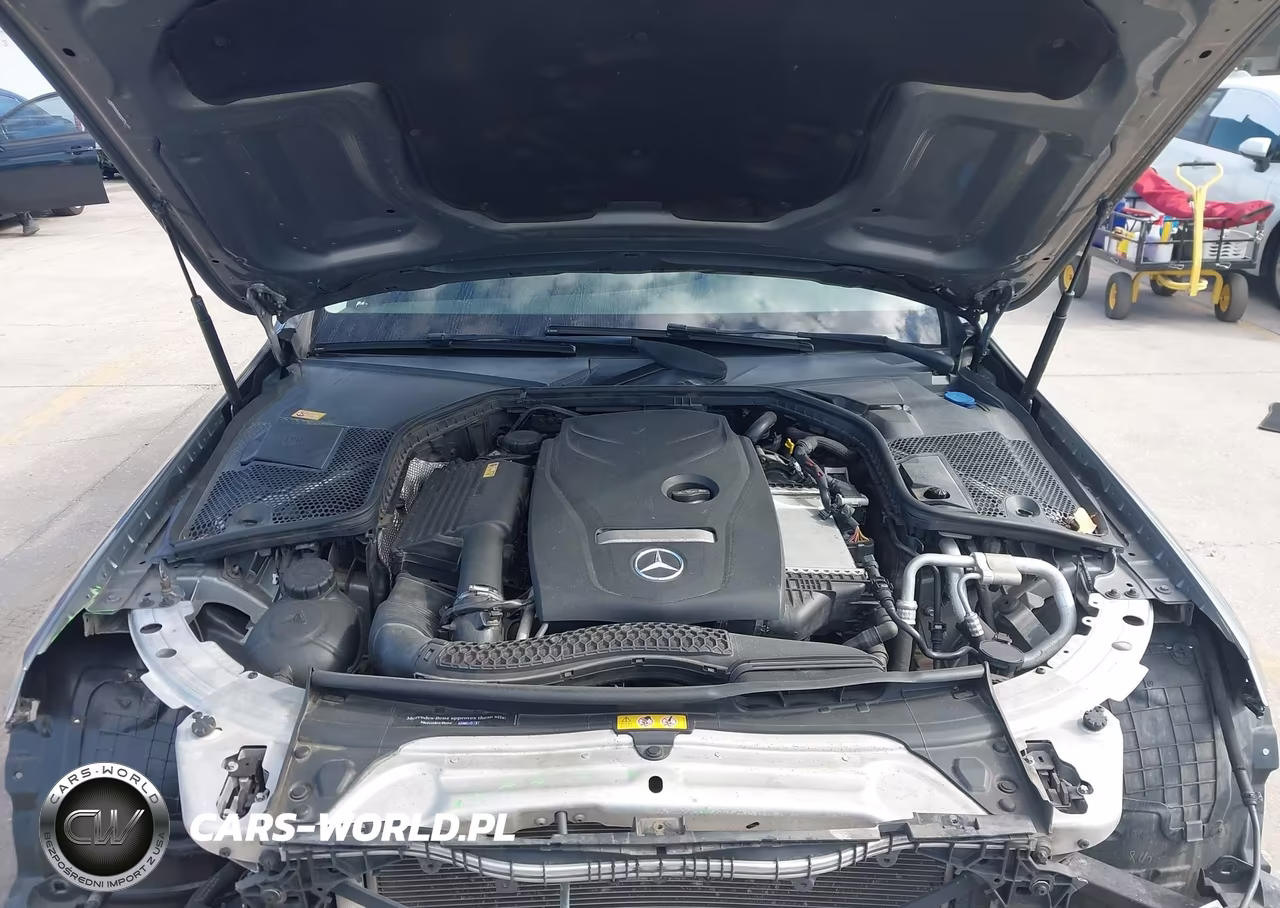 2016 Mercedes-Benz C 300 4Matic VIN:55SWF4KB3GU133425 - 10