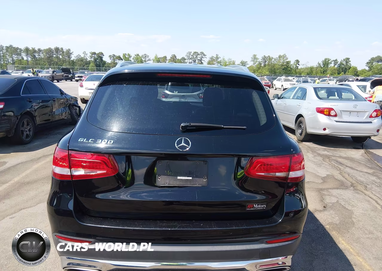 2017 Mercedes-Benz Glc 300 VIN:WDC0G4JB0HV003959 - 16