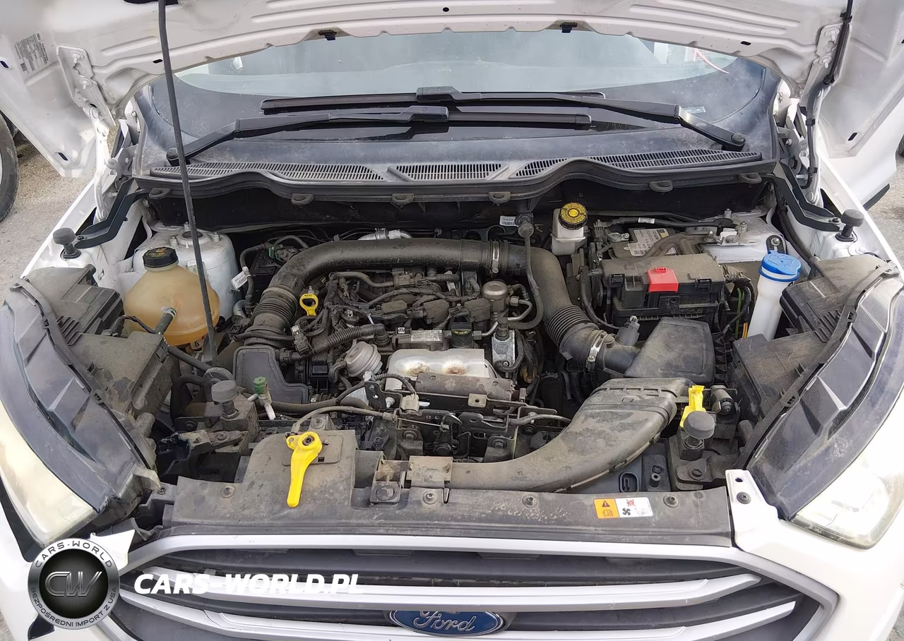 2018 Ford Ecosport Se VIN:MAJ3P1TE7JC233837 - 10