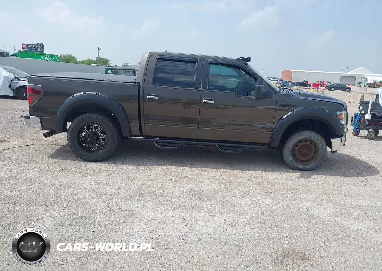 2009 Ford F-150 Xl-Xlt VIN:1FTRW12879FA62908 - 13