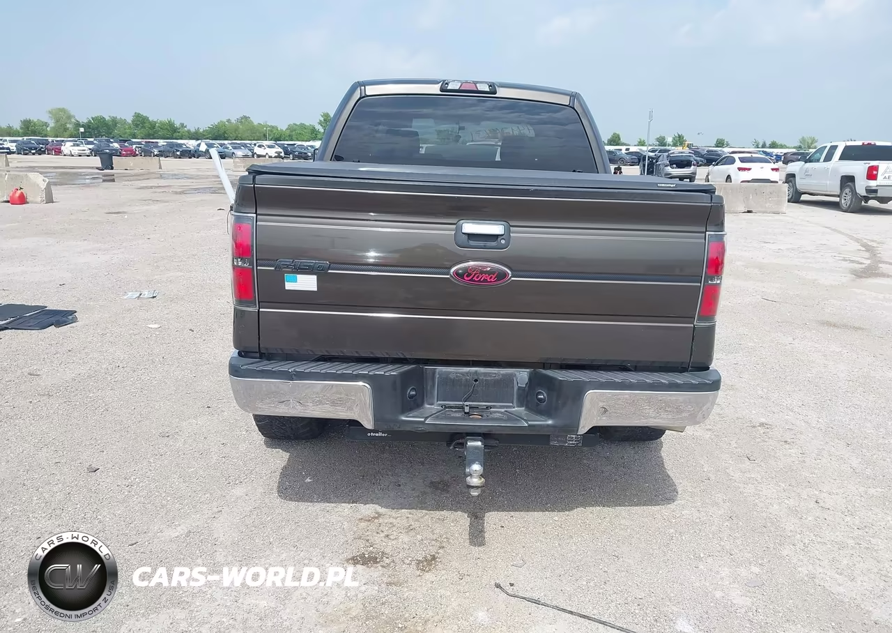 2009 Ford F-150 Xl-Xlt VIN:1FTRW12879FA62908 - 16