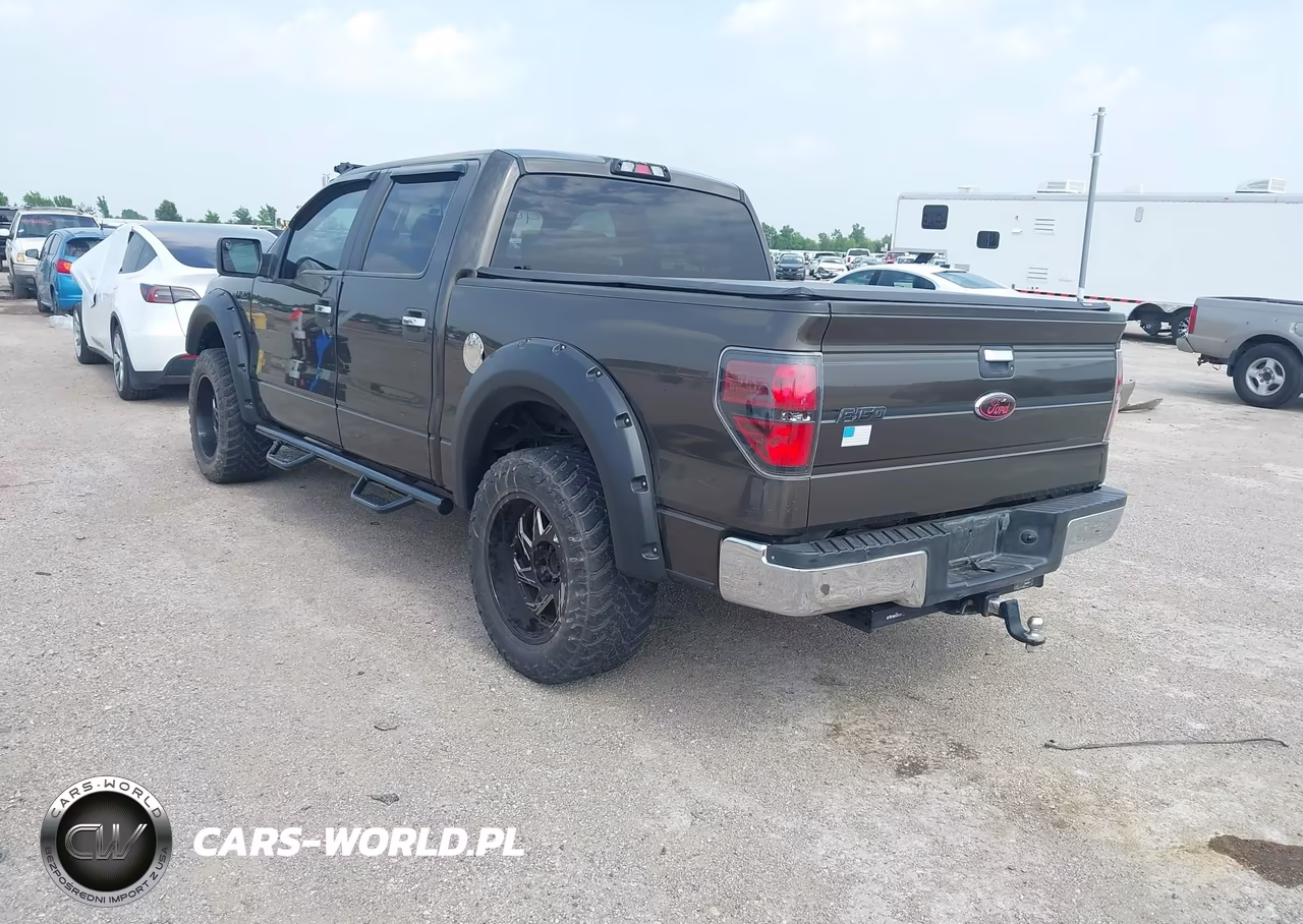2009 Ford F-150 Xl-Xlt VIN:1FTRW12879FA62908 - 3
