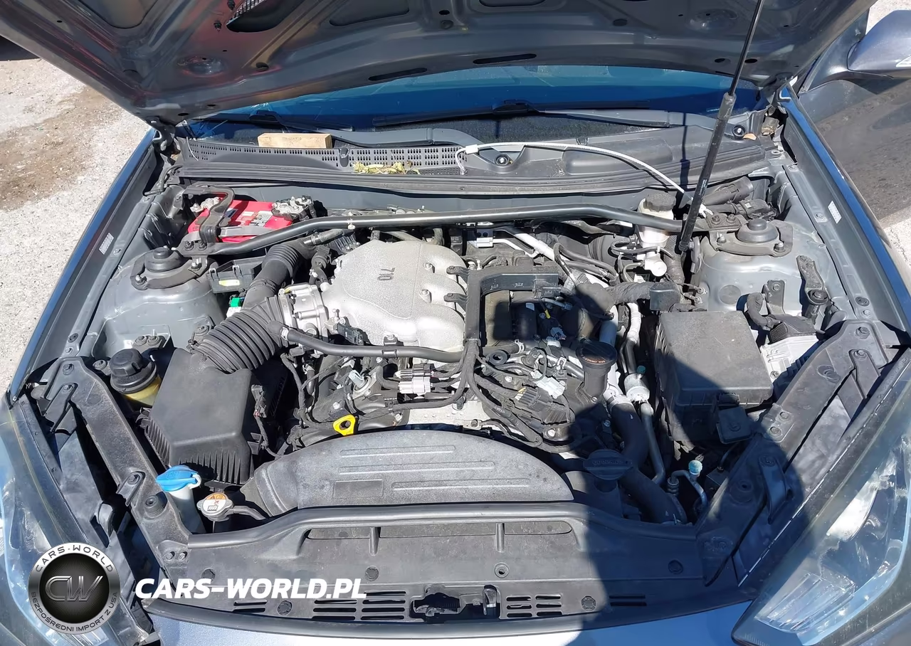 2015 Hyundai Genesis 3.8 Ultimate VIN:KMHHU6KJXFU129148 - 10
