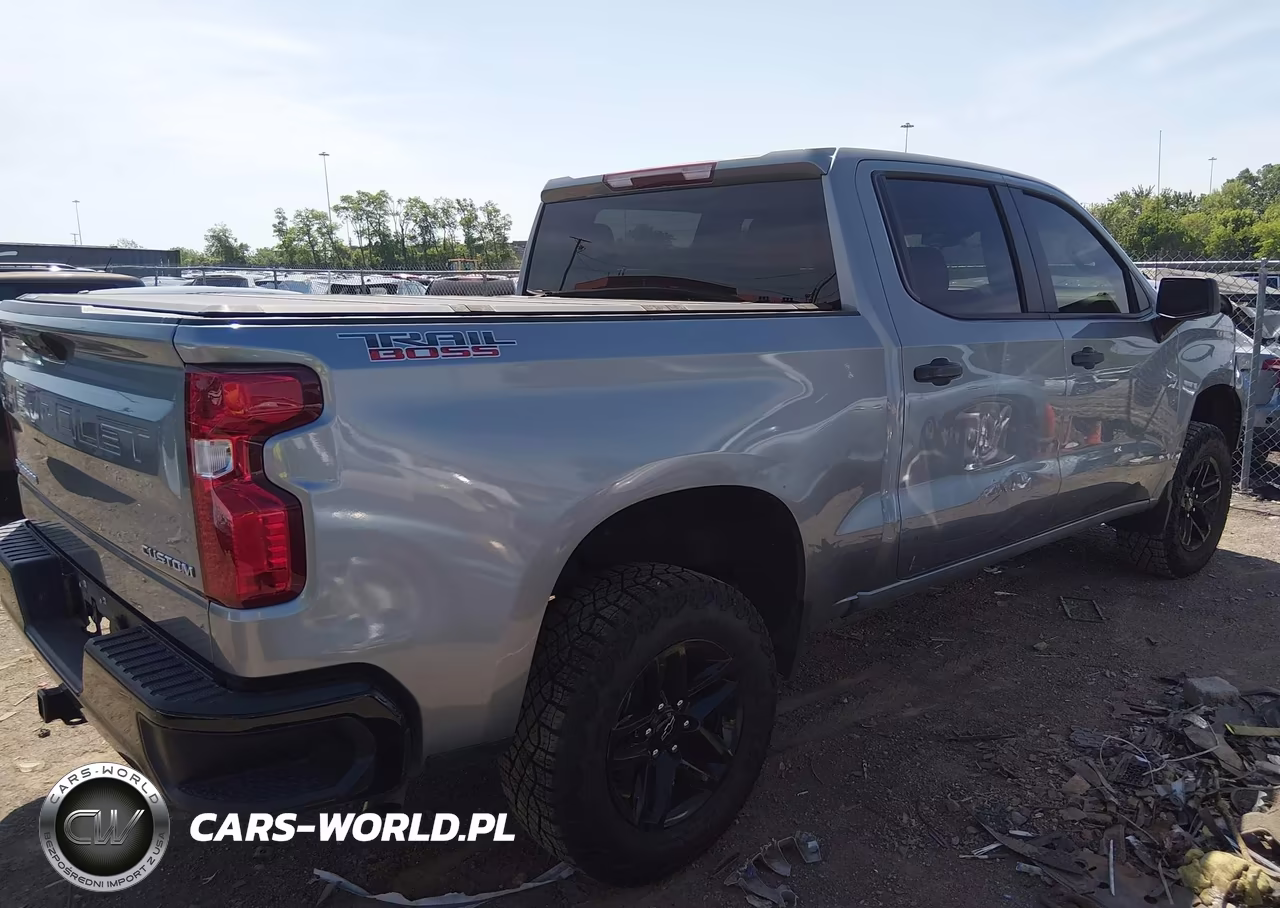 2025 Chevrolet Silverado 1500 4Wd Short Bed Custom Trail Boss VIN:3GCPKCEK9SG324177 - 14