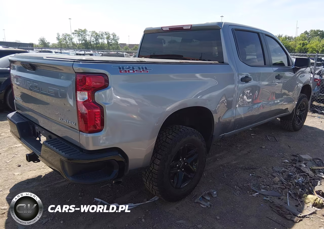 2025 Chevrolet Silverado 1500 4Wd Short Bed Custom Trail Boss VIN:3GCPKCEK9SG324177 - 4