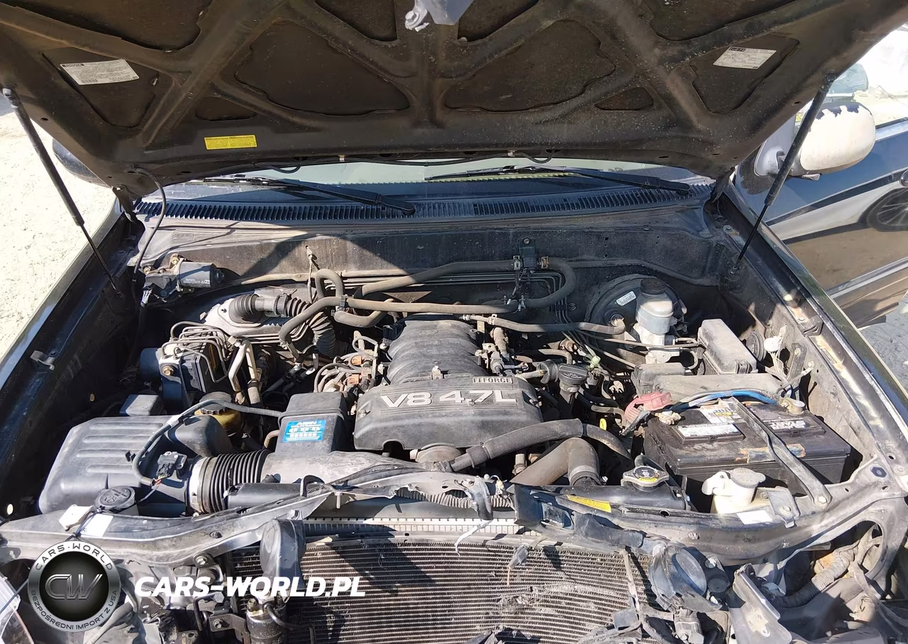 2005 Toyota Sequoia Limited V8 VIN:5TDZT38AX5S242764 - 10