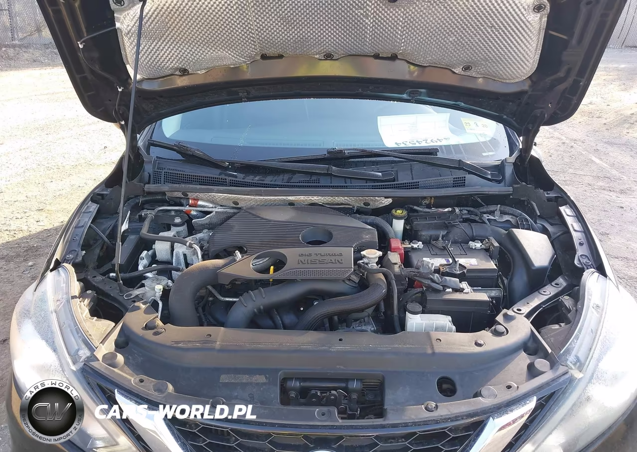 2017 Nissan Sentra Sr Turbo VIN:3N1CB7AP2HY224550 - 10