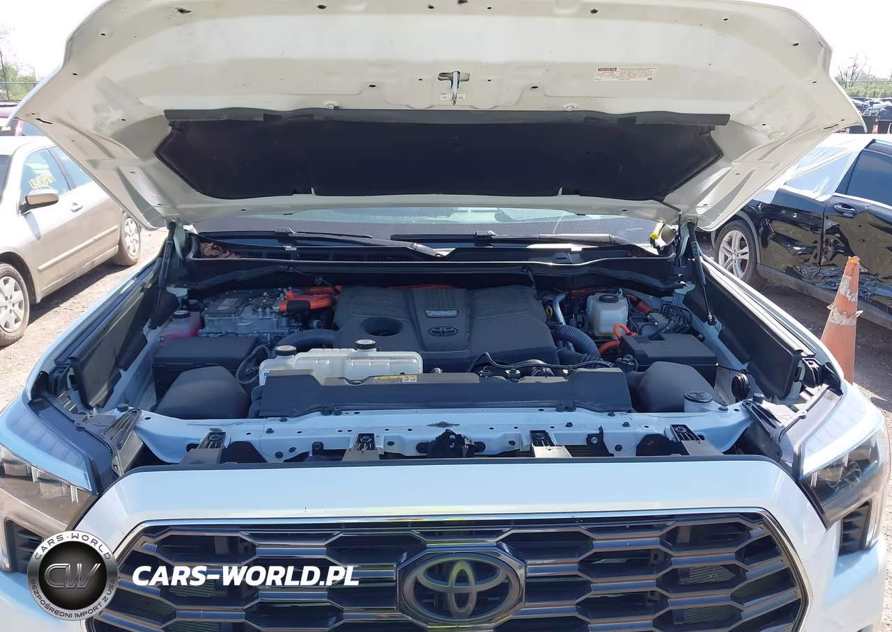 2024 Toyota Sequoia Platinum VIN:7SVAAABAXRX048113 - 10