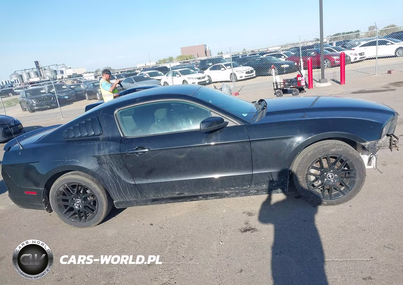 2014 Ford Mustang V6 VIN:1ZVBP8AM2E5321369 - 12