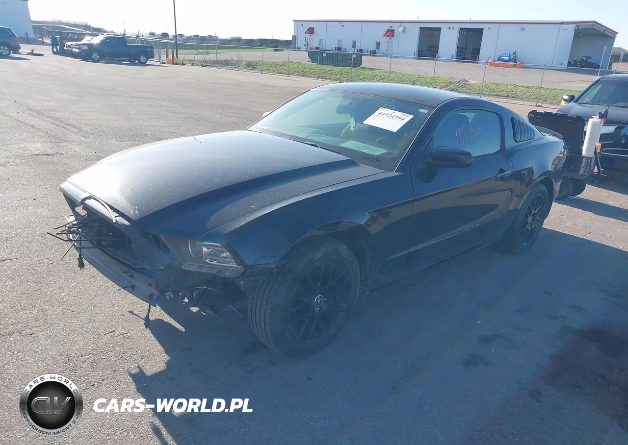 2014 Ford Mustang V6 VIN:1ZVBP8AM2E5321369 - 2