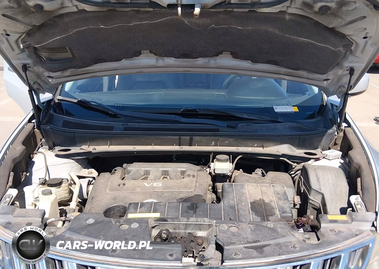 2009 Nissan Murano Le VIN:JN8AZ18W29W121880 - 10