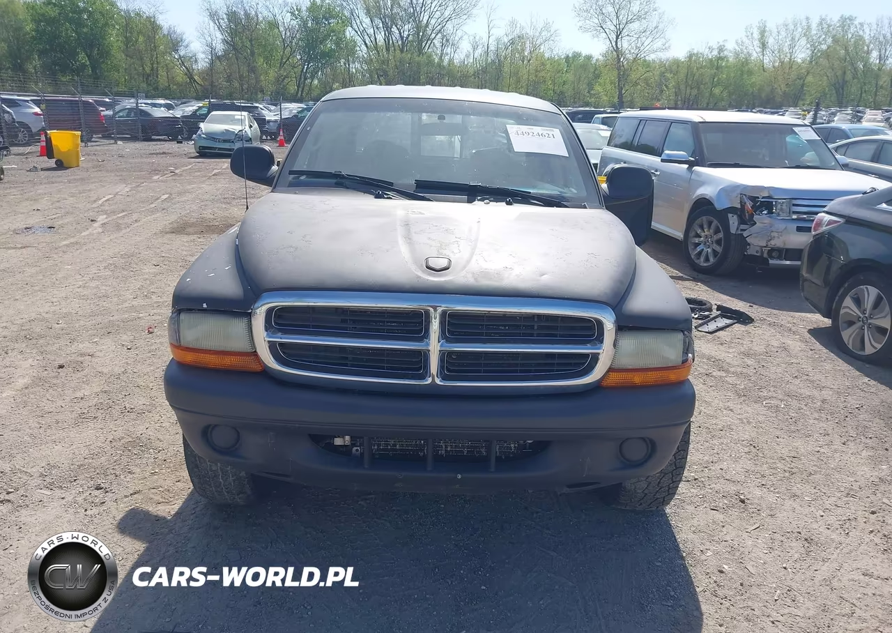 2004 Dodge Dakota Slt VIN:1D7HG48N94S704431 - 13