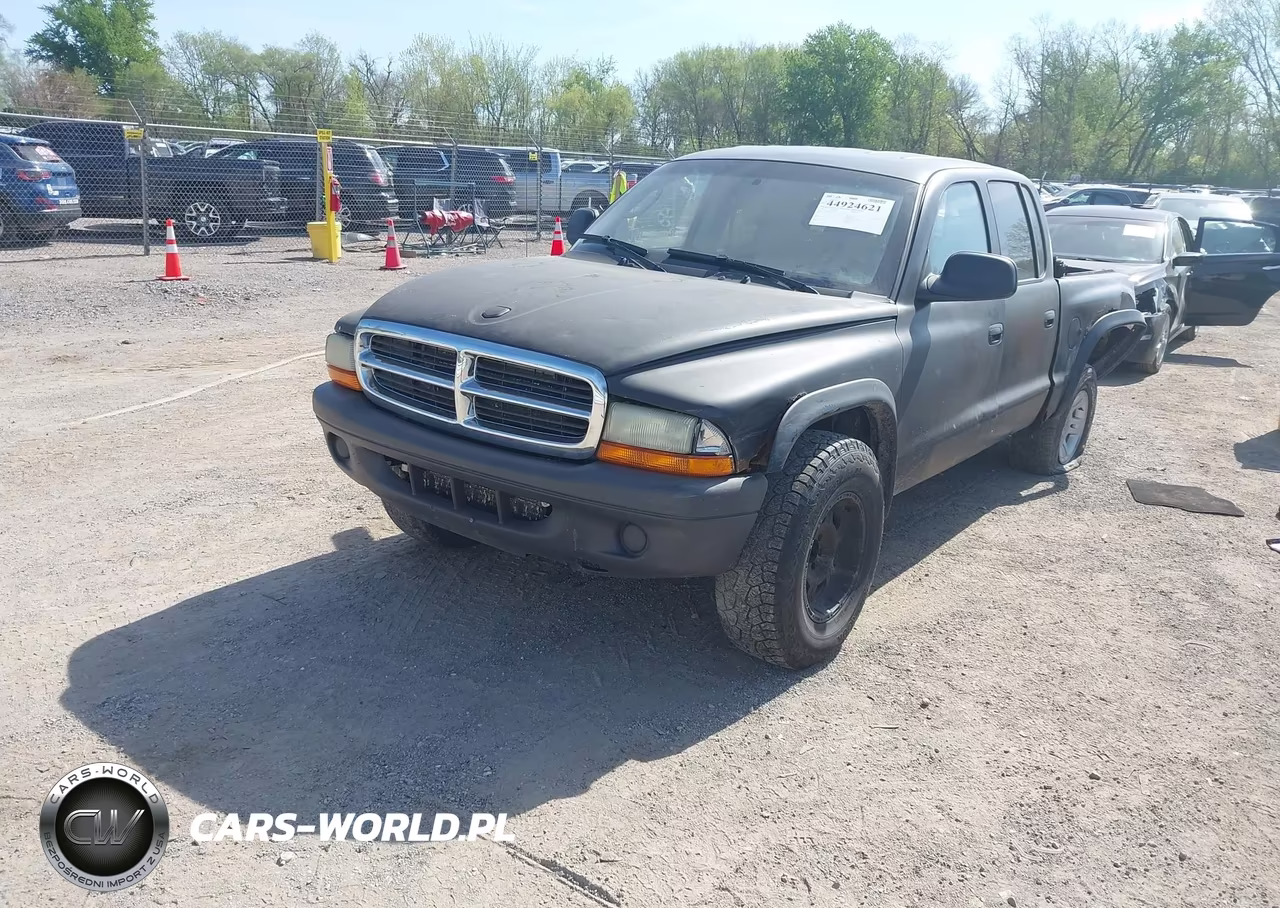 2004 Dodge Dakota Slt VIN:1D7HG48N94S704431 - 2