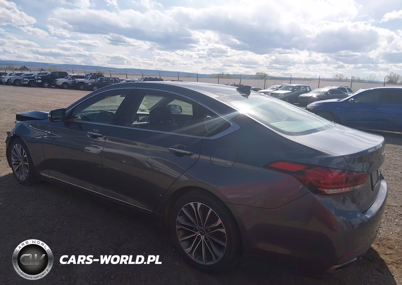 2015 Hyundai Genesis 3.8 VIN:KMHGN4JE0FU087123 - 3