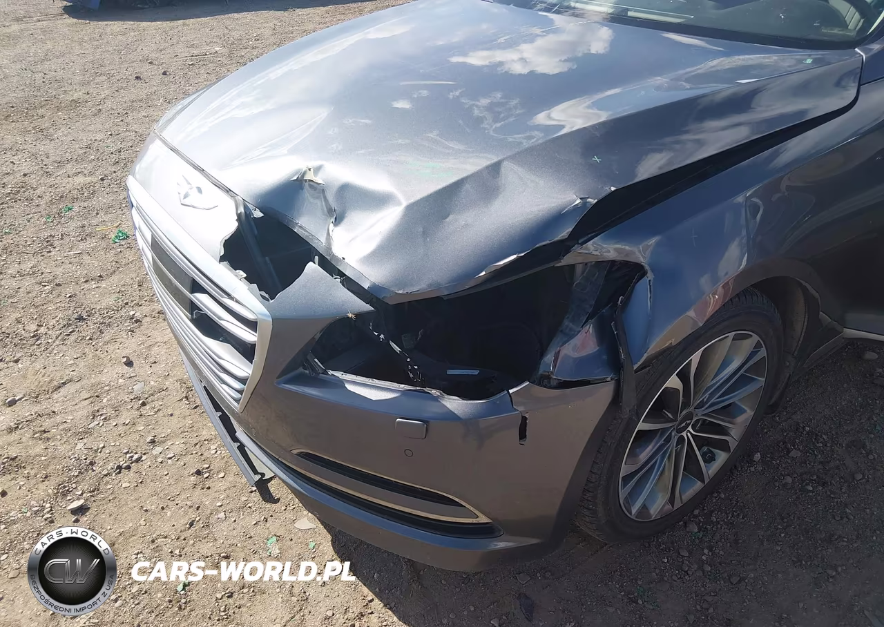 2015 Hyundai Genesis 3.8 VIN:KMHGN4JE0FU087123 - 6