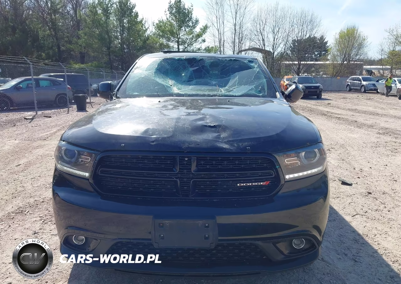 2017 Dodge Durango Gt VIN:1C4RDJDG1HC724895 - 13