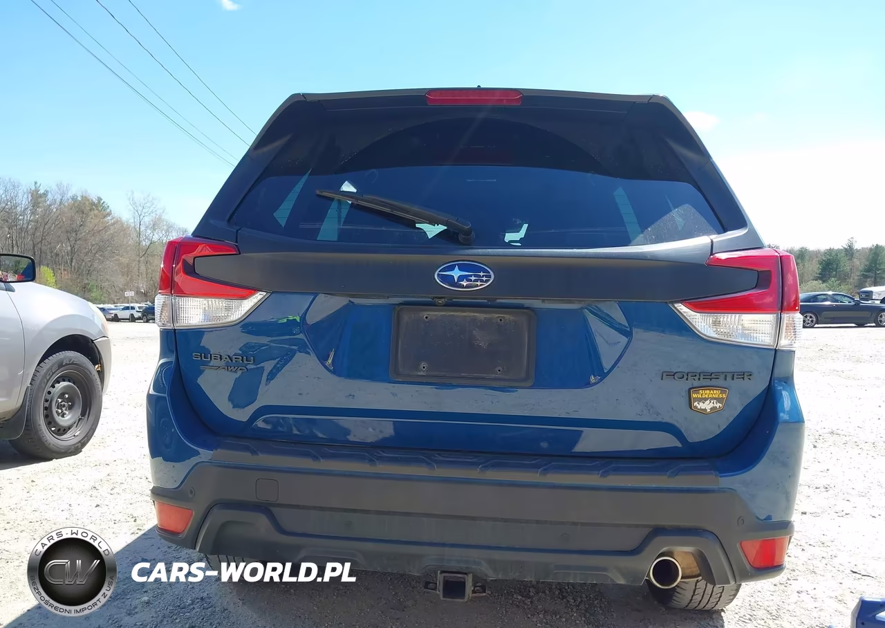 2022 Subaru Forester Wilderness VIN:JF2SKAMC7NH501748 - 17