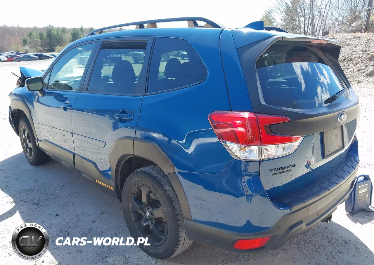 2022 Subaru Forester Wilderness VIN:JF2SKAMC7NH501748 - 3