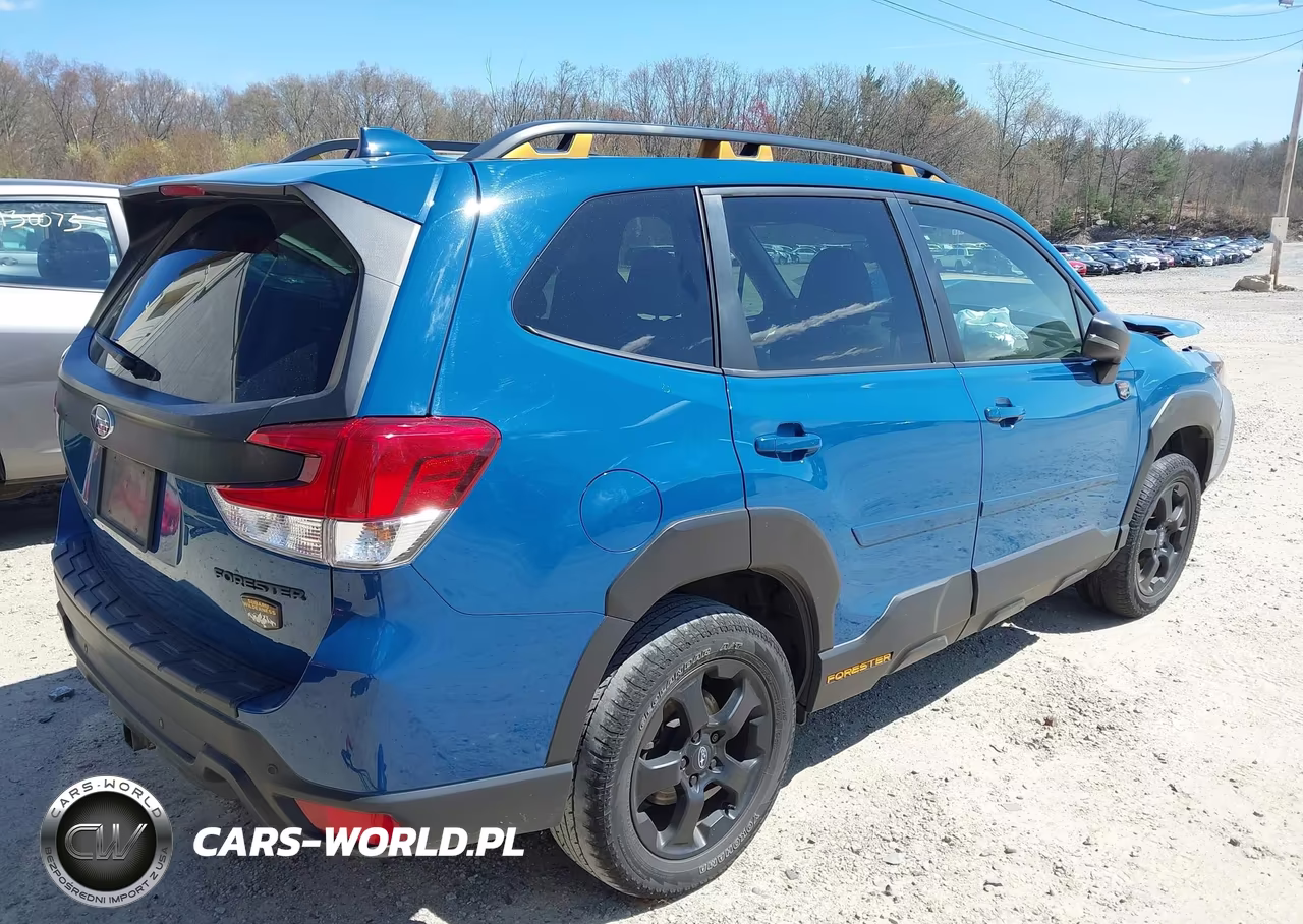 2022 Subaru Forester Wilderness VIN:JF2SKAMC7NH501748 - 4