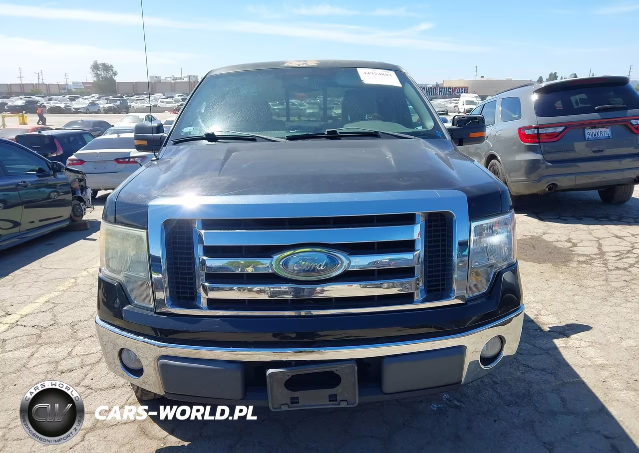 2009 Ford F-150 Lariat-Xl-Xlt VIN:1FTRX12V09KC54679 - 12