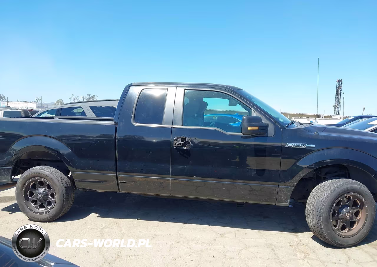 2009 Ford F-150 Lariat-Xl-Xlt VIN:1FTRX12V09KC54679 - 13