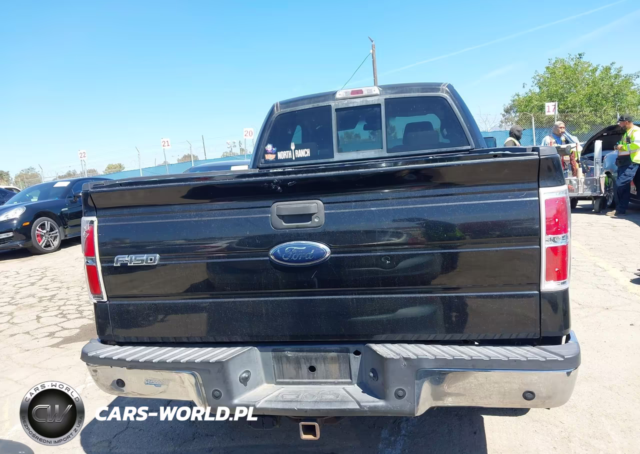 2009 Ford F-150 Lariat-Xl-Xlt VIN:1FTRX12V09KC54679 - 16
