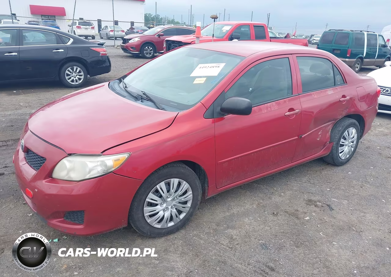 2010 Toyota Corolla VIN:2T1BU4EE4AC533131 - 2