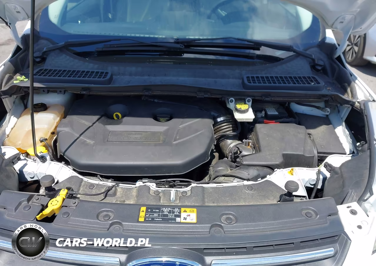 2016 Ford Escape Se VIN:1FMCU0G93GUB75413 - 10