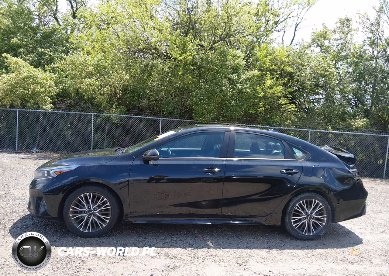 2022 Kia Forte Gt-Line VIN:3KPF54AD1NE499412 - 14