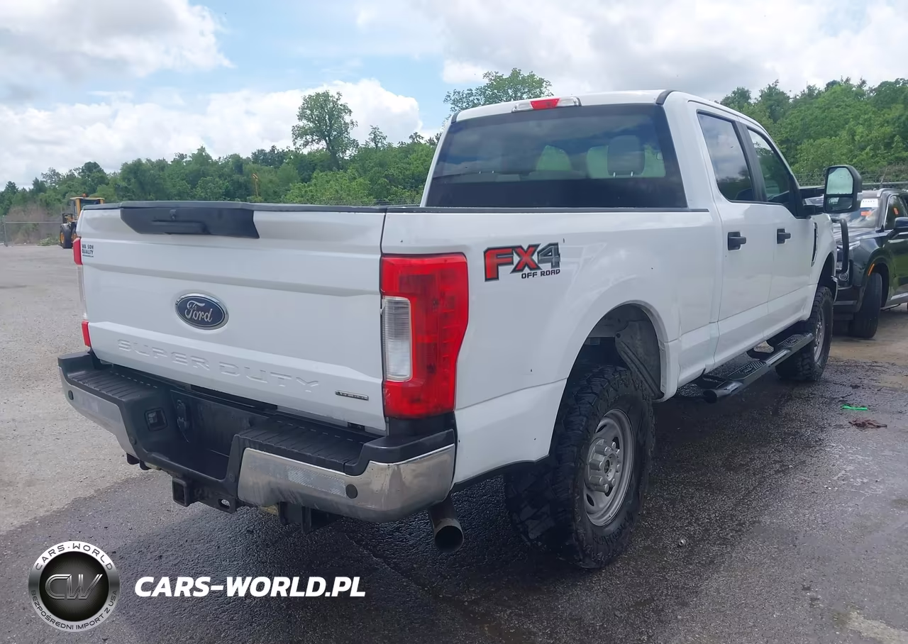 2019 Ford F-250 VIN:1FT7W2B67KEG06282 - 4