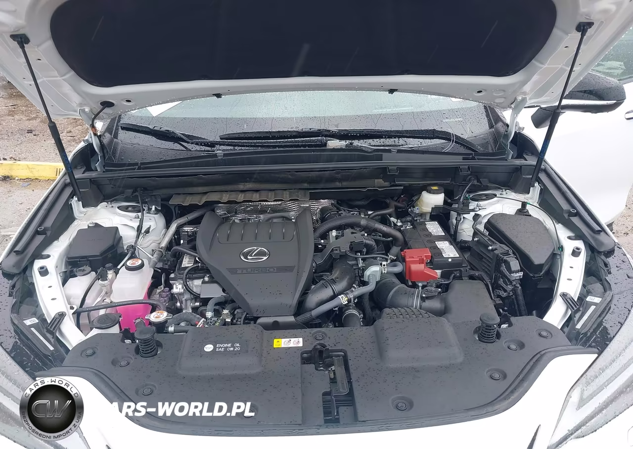 2026 Lexus Nx 350 F Sport Handling VIN:2T2KGCEZ9TC110077 - 10