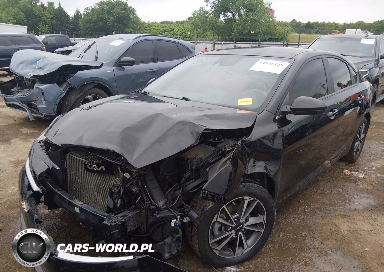 2022 Kia Forte Lxs VIN:3KPF24AD9NE433117 - 2