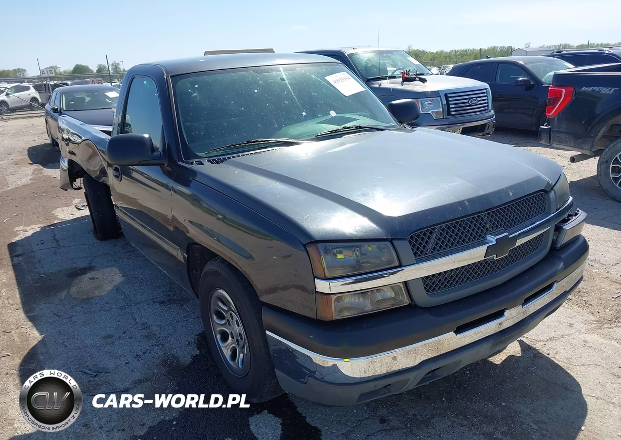 2005 Chevrolet Silverado 1500 Work Truck