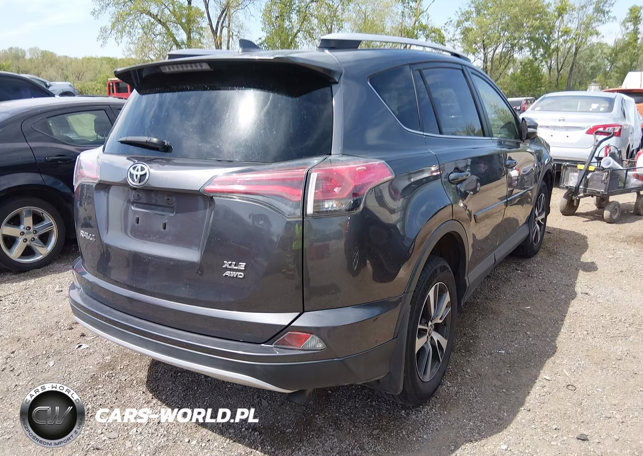 2016 Toyota Rav4 Xle VIN:JTMRFREVXGJ101324 - 4