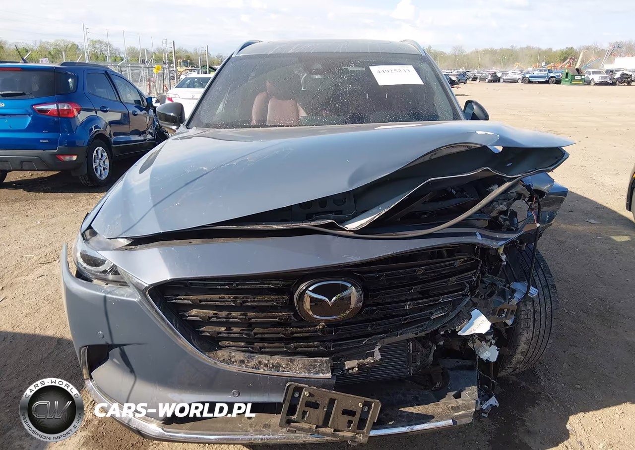 2023 Mazda Cx-9 Carbon Edition VIN:JM3TCBDY4P0639466 - 11