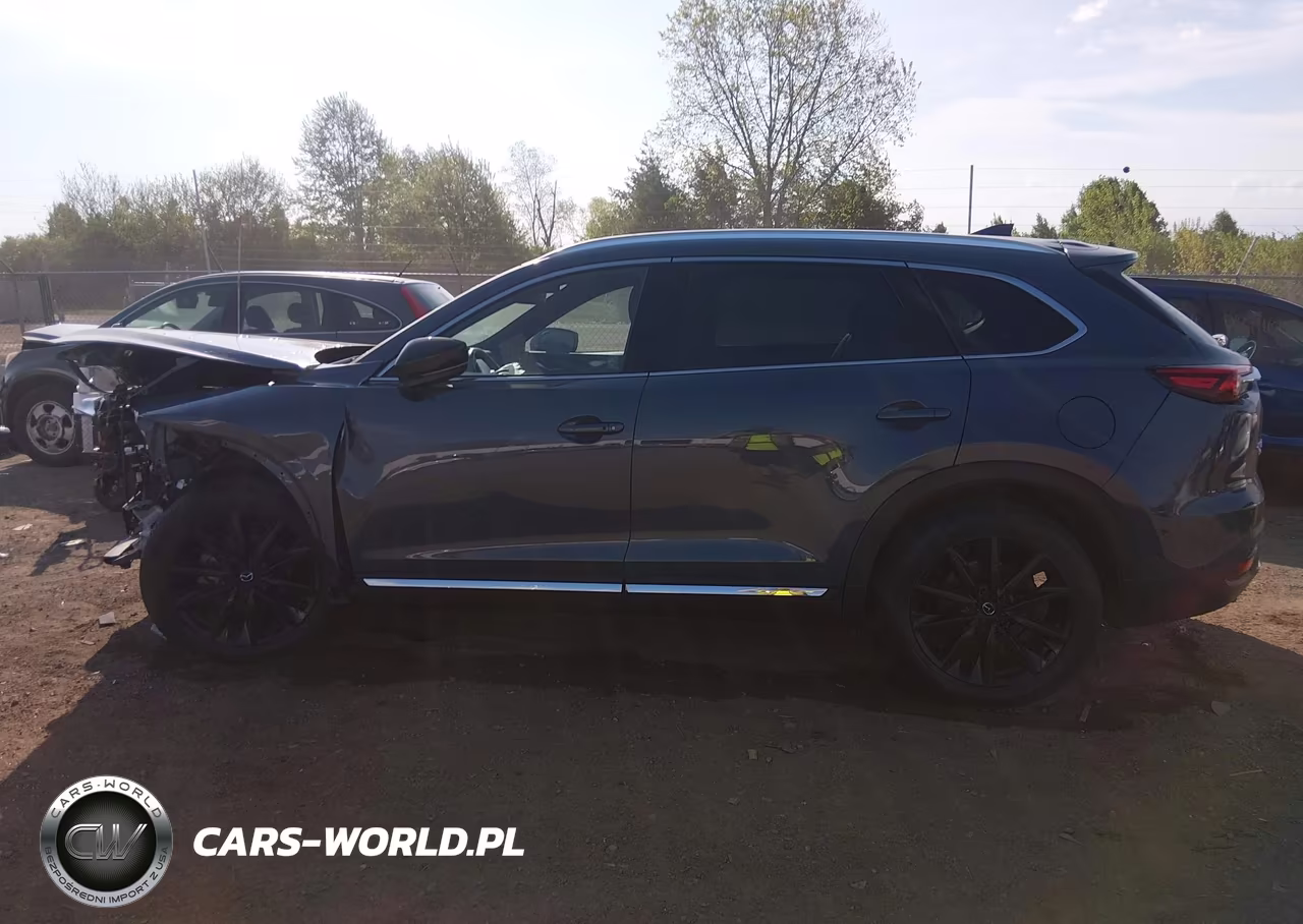 2023 Mazda Cx-9 Carbon Edition VIN:JM3TCBDY4P0639466 - 13