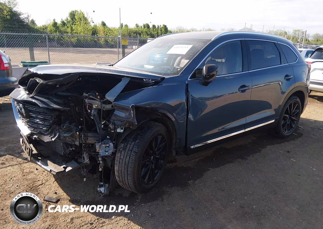 2023 Mazda Cx-9 Carbon Edition VIN:JM3TCBDY4P0639466 - 2