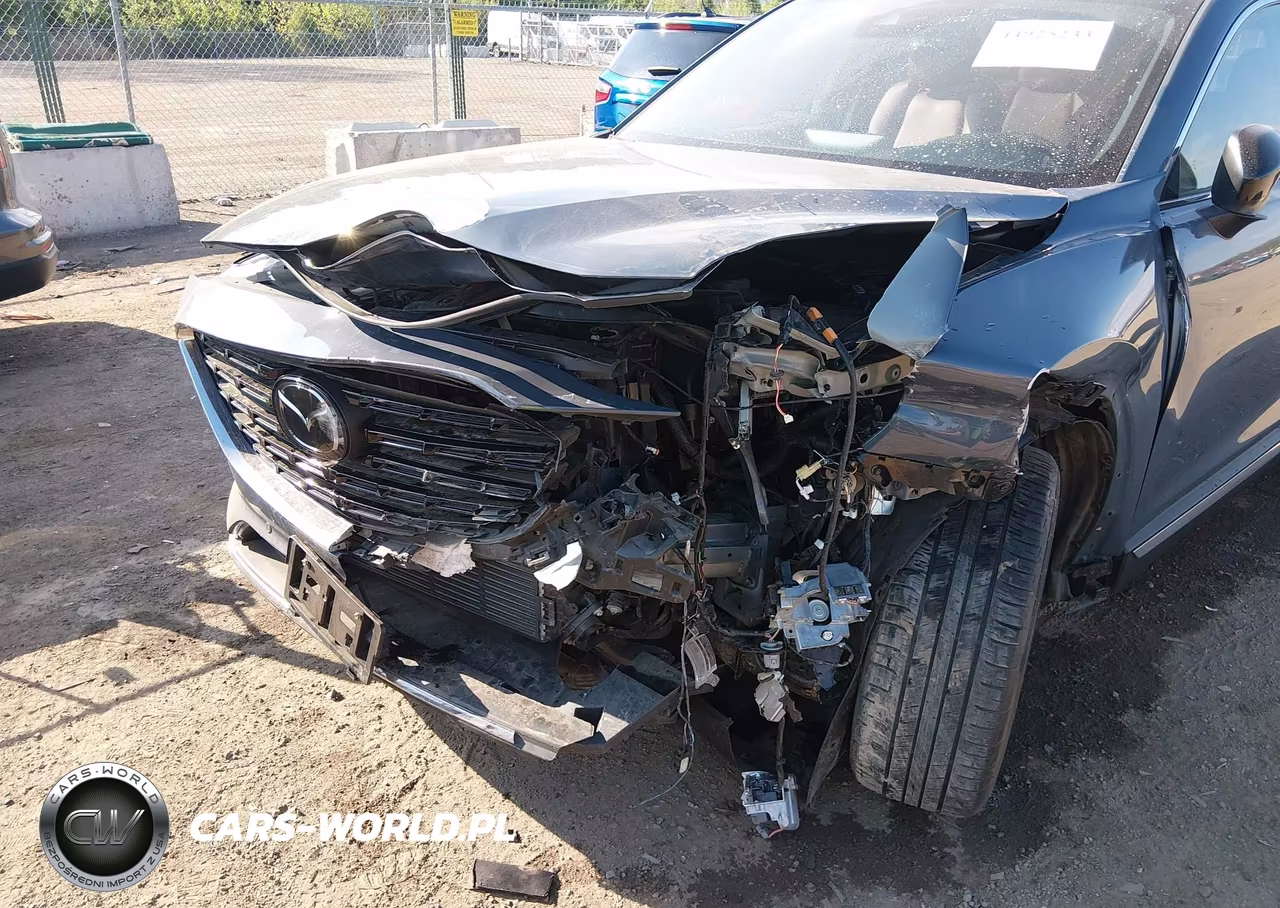 2023 Mazda Cx-9 Carbon Edition VIN:JM3TCBDY4P0639466 - 6