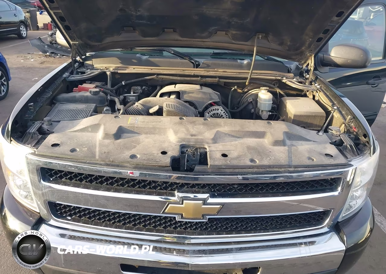 2010 Chevrolet Silverado 1500 Lt VIN:1GCPCSE08AZ223278 - 10