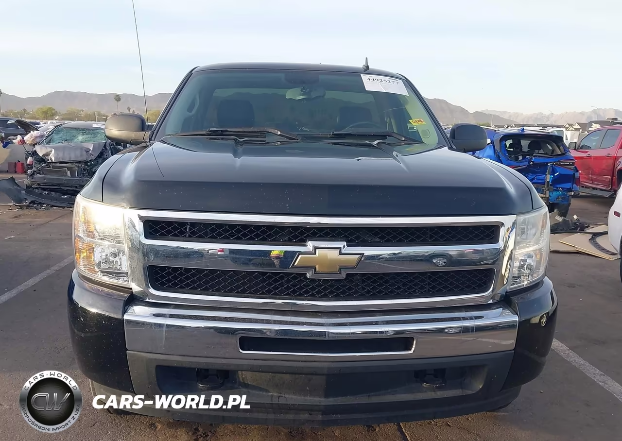 2010 Chevrolet Silverado 1500 Lt VIN:1GCPCSE08AZ223278 - 12