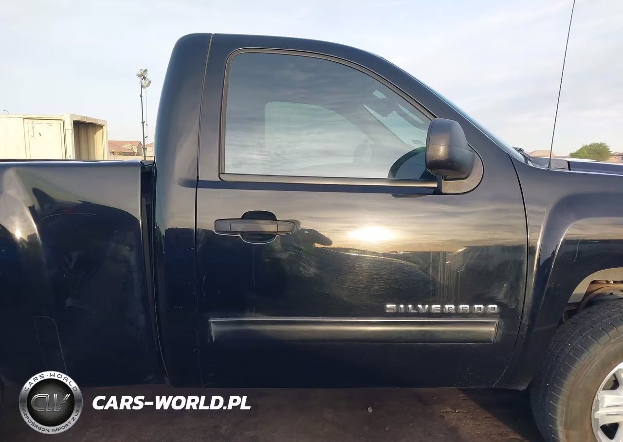 2010 Chevrolet Silverado 1500 Lt VIN:1GCPCSE08AZ223278 - 13