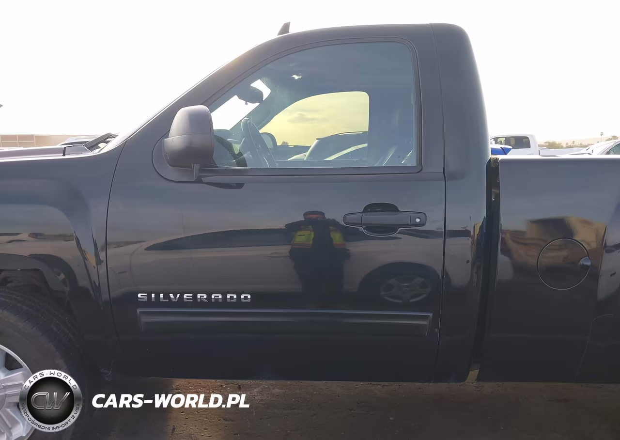 2010 Chevrolet Silverado 1500 Lt VIN:1GCPCSE08AZ223278 - 14